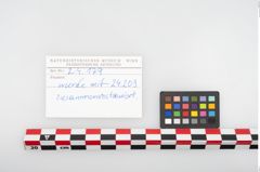 Etikett zu Bronzegürtelblech (NHMW-PRAE-024179)